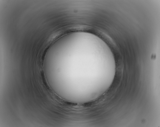 X0000096950119200802080929
