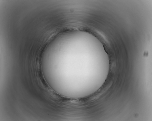 X0000096950121200802080929