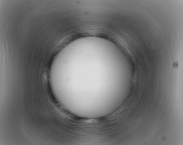 X0000096950122200802080929