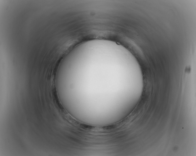 X0000096950123200802080929