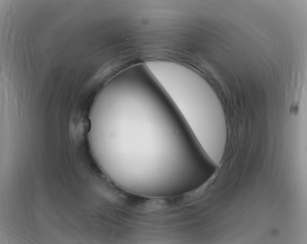 X0000096950124200802080929