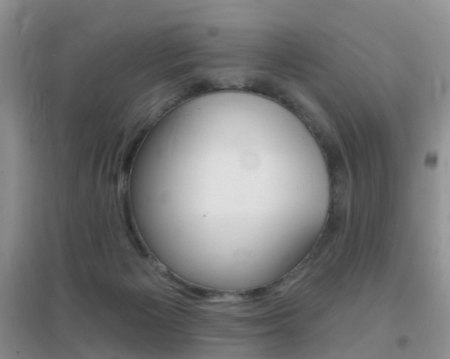 X0000096950125200802080929