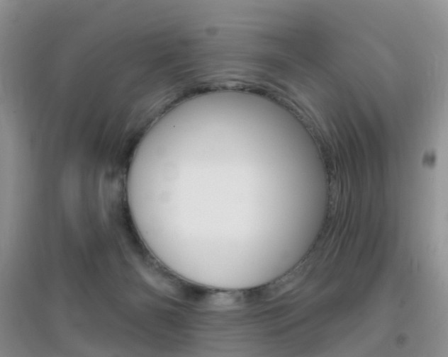 X0000096950126200802080929