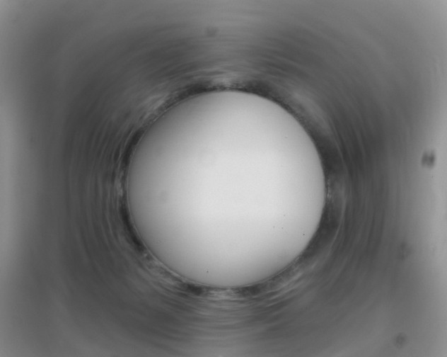 X0000096950127200802080929