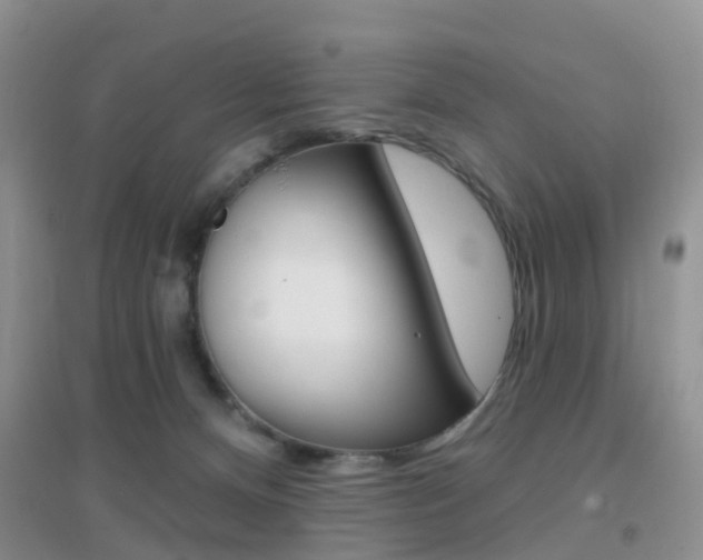 X0000096950128200802080929