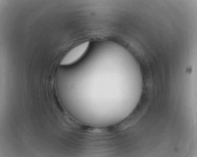 X0000096950129200802080929