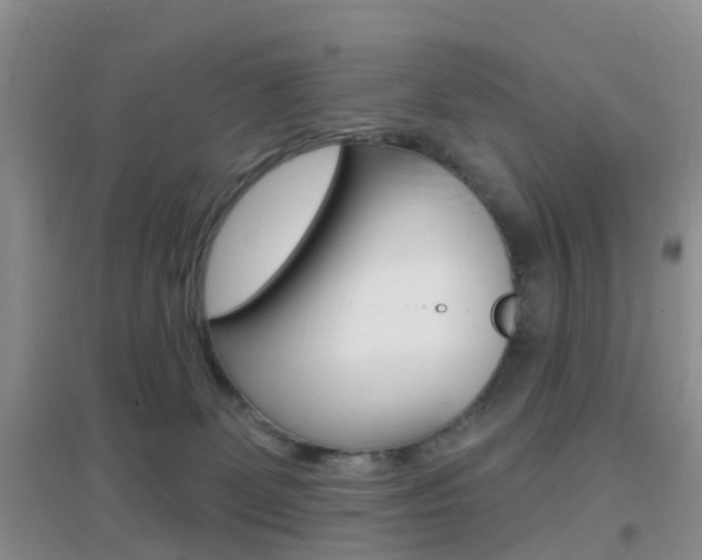 X0000096950131200802080929
