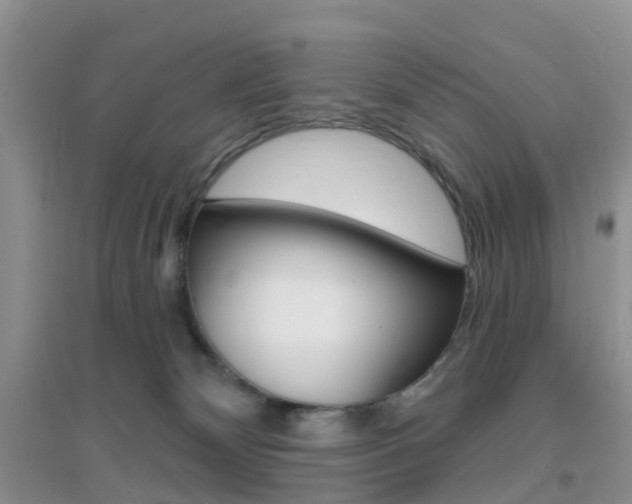 X0000096950132200802080929