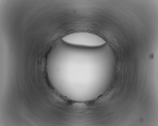 X0000096950133200802080929