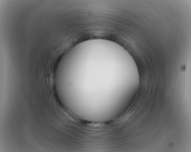 X0000096950135200802080929