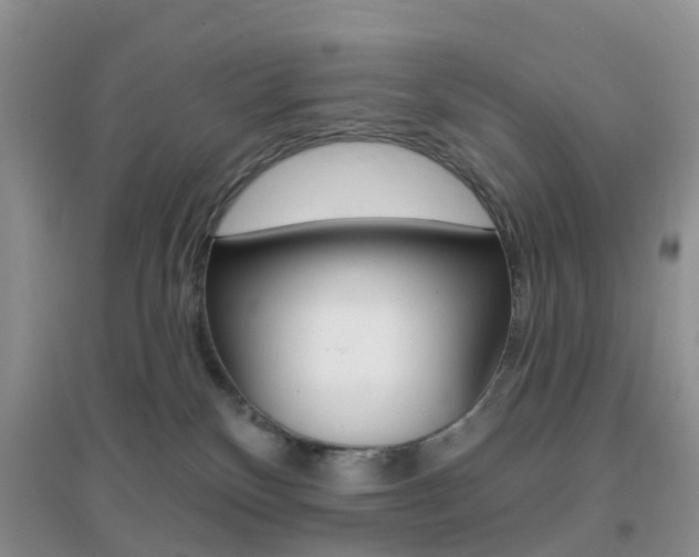 X0000096950136200802080929