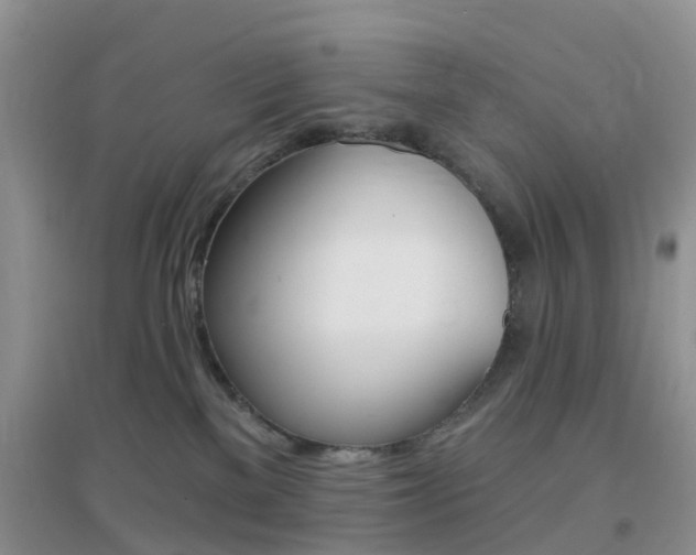 X0000096950137200802080929