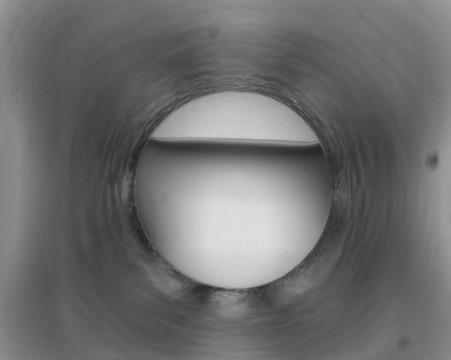 X0000096950139200802080929