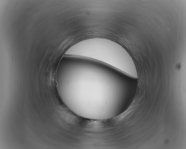 X0000096950140200802080929