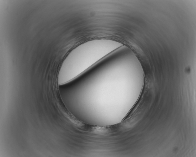 X0000096950141200802080929