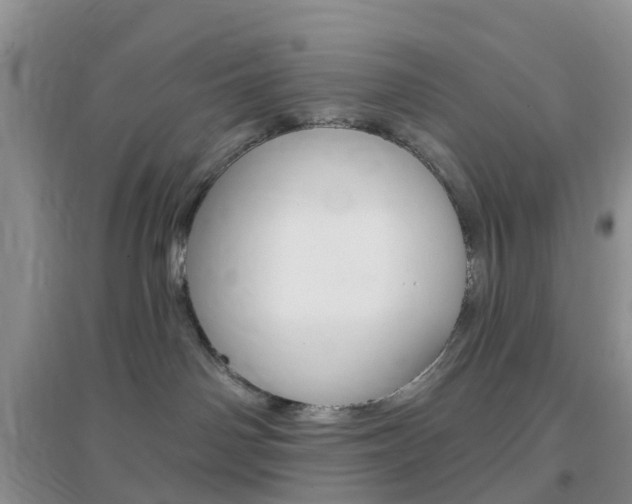 X0000096950142200802080929