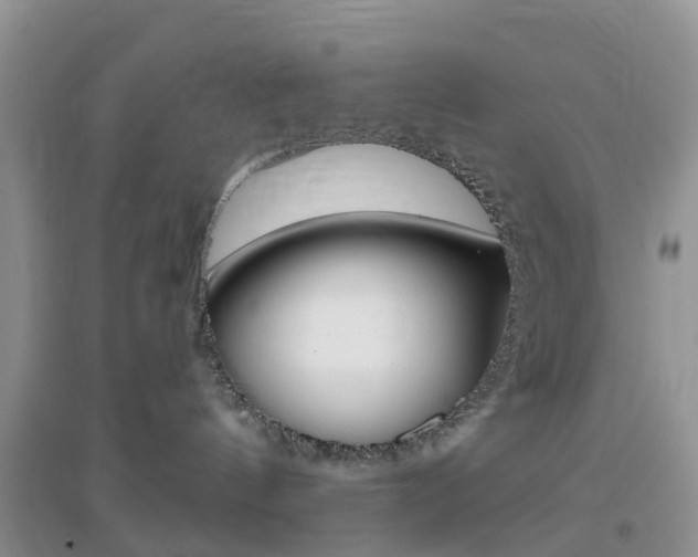 X0000096950144200802080929