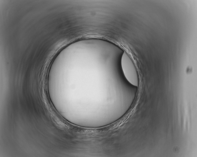 X0000096950145200802080928