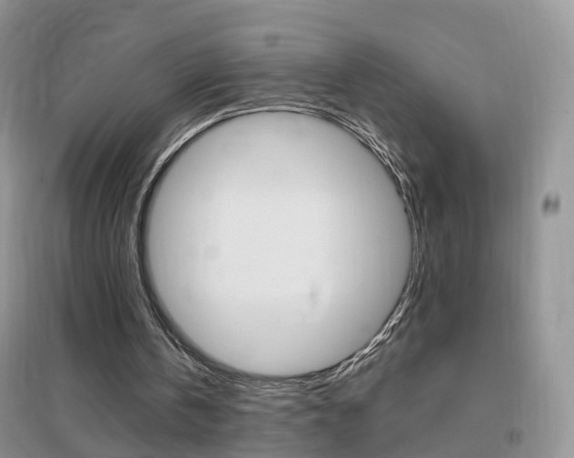 X0000096950146200802080928