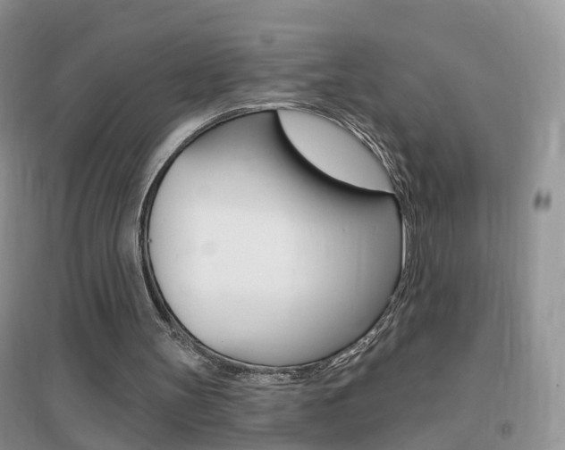 X0000096950147200802080928