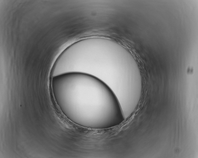 X0000096950148200802080928