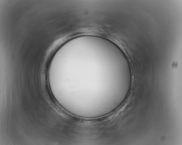 X0000096950149200802080928