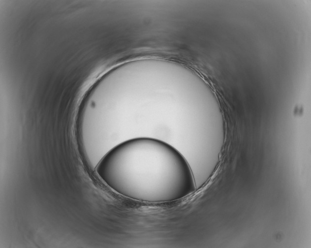 X0000096950150200802080928