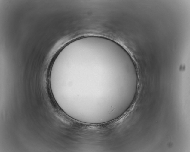 X0000096950151200802080928