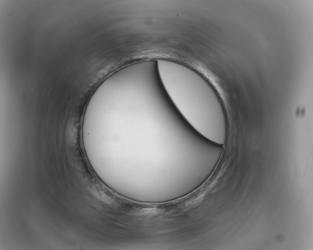 X0000096950153200802080928