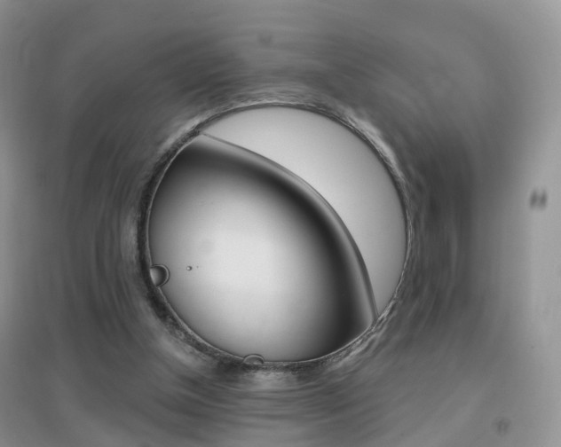 X0000096950154200802080928