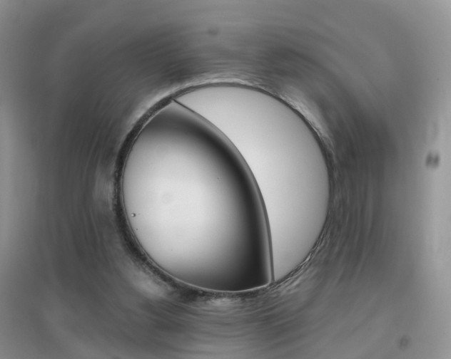 X0000096950156200802080928