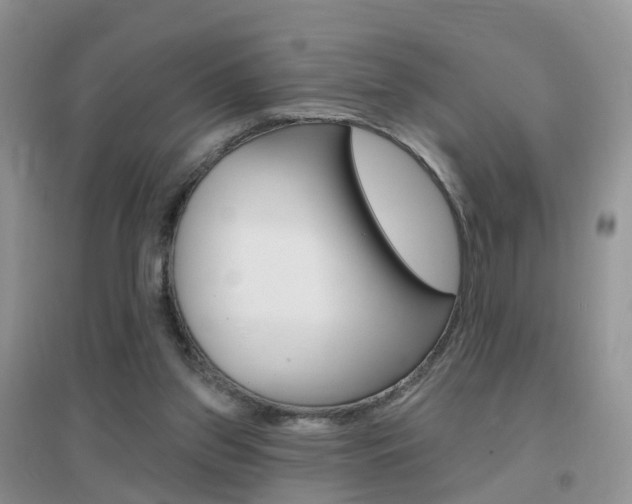 X0000096950157200802080928