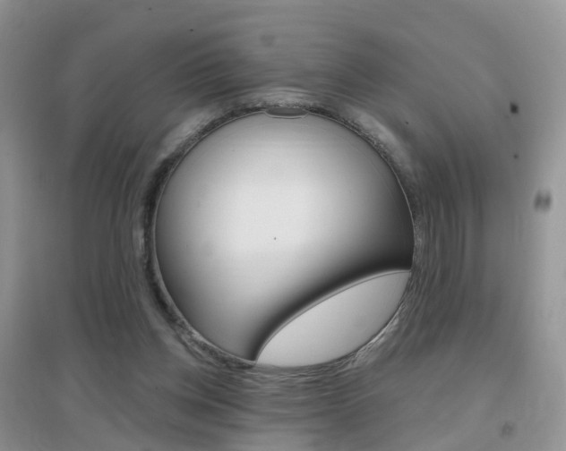 X0000096950158200802080928