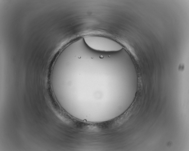 X0000096950159200802080928
