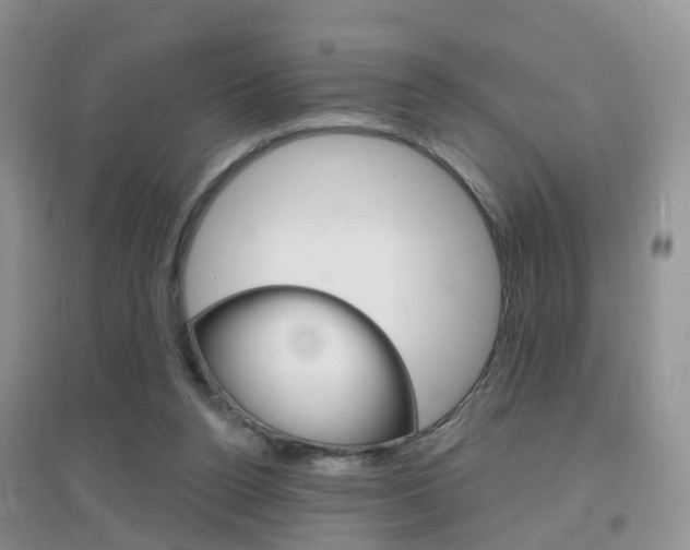 X0000096950160200802080928