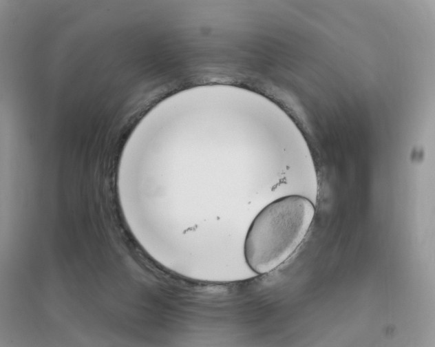X0000096950162200802080928