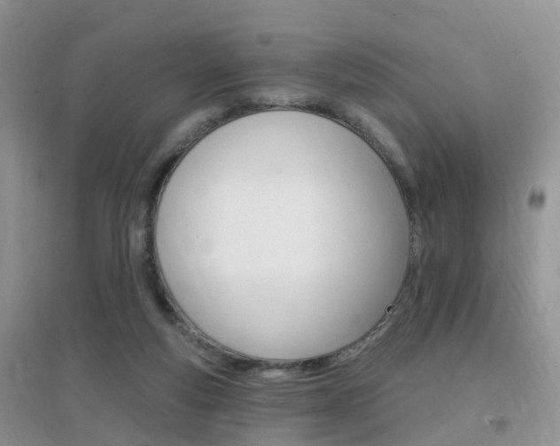 X0000096950163200802080928