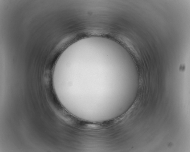 X0000096950167200802080928