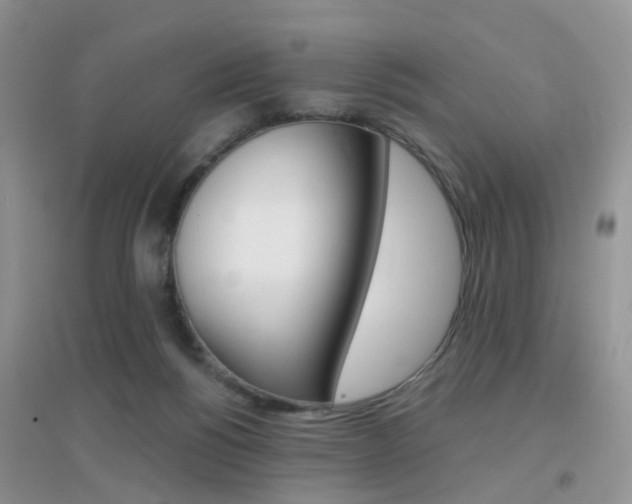 X0000096950168200802080928