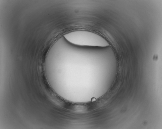 X0000096950169200802080928