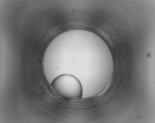 X0000096950170200802080928