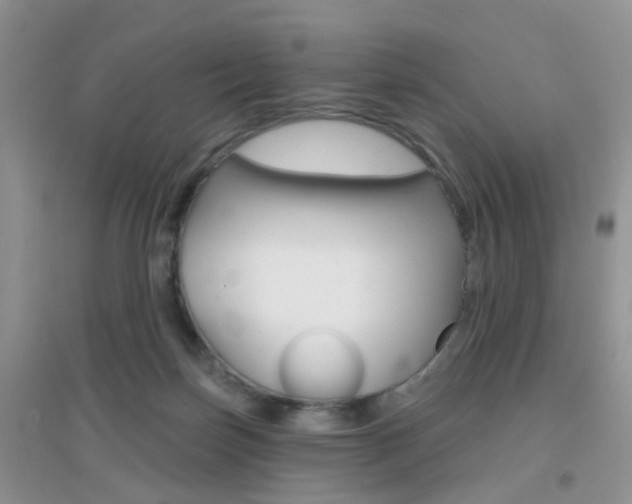 X0000096950171200802080928