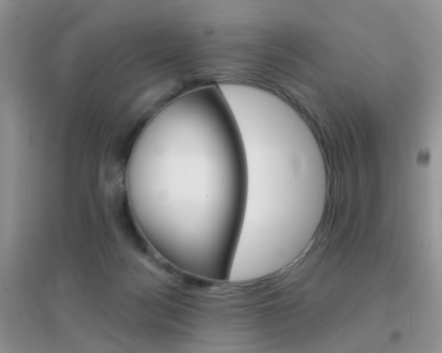 X0000096950172200802080928