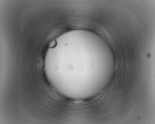 X0000096950173200802080928