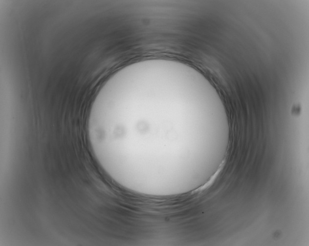 X0000096950174200802080928