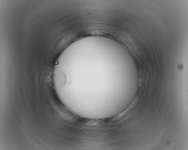 X0000096950175200802080929