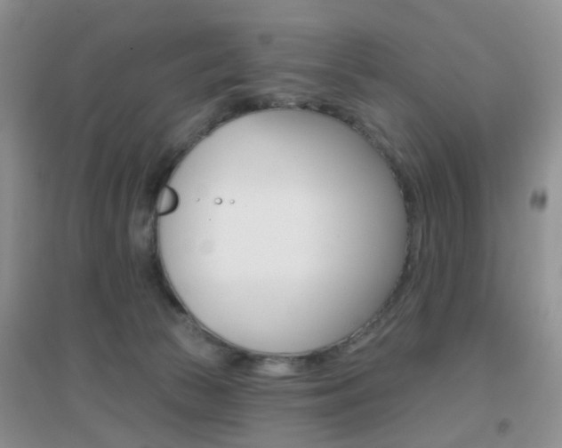 X0000096950177200802080929