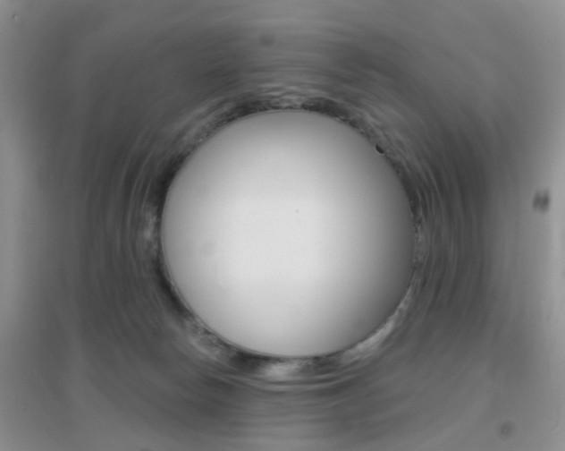 X0000096950178200802080929