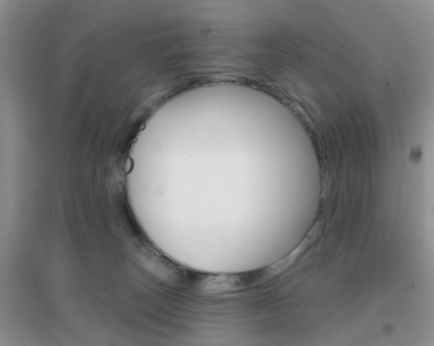 X0000096950179200802080929