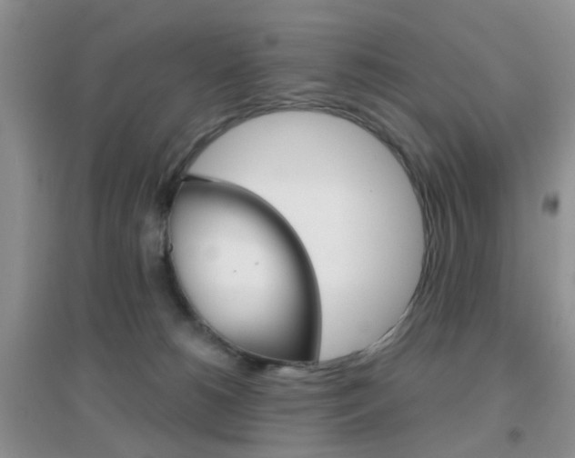 X0000096950180200802080929